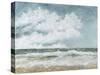 Salt Spray-Barbra Mann Myers-Stretched Canvas