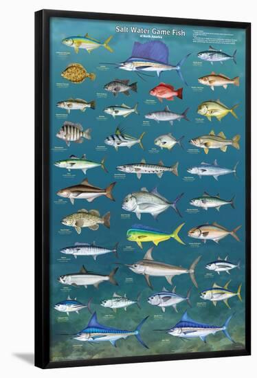 Salt Water Game Fish-null-Framed Poster