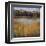 Salt Water Marsh I-Mark Pulliam-Framed Giclee Print