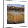 Salt Water Marsh I-Mark Pulliam-Mounted Giclee Print
