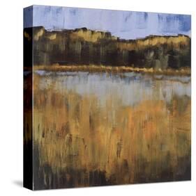 Salt Water Marsh I-Mark Pulliam-Stretched Canvas