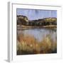 Salt Water Marsh II-Mark Pulliam-Framed Giclee Print