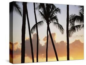 Salt Water Pond State Park, Kauai, Hawaii, USA, Pacific-McCoy Aaron-Stretched Canvas