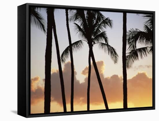 Salt Water Pond State Park, Kauai, Hawaii, USA, Pacific-McCoy Aaron-Framed Stretched Canvas