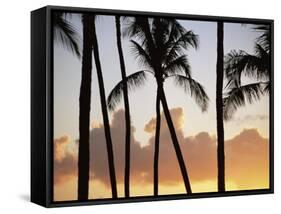 Salt Water Pond State Park, Kauai, Hawaii, USA, Pacific-McCoy Aaron-Framed Stretched Canvas