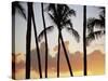 Salt Water Pond State Park, Kauai, Hawaii, USA, Pacific-McCoy Aaron-Stretched Canvas
