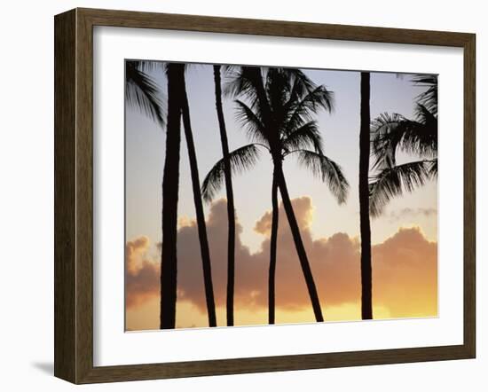 Salt Water Pond State Park, Kauai, Hawaii, USA, Pacific-McCoy Aaron-Framed Photographic Print