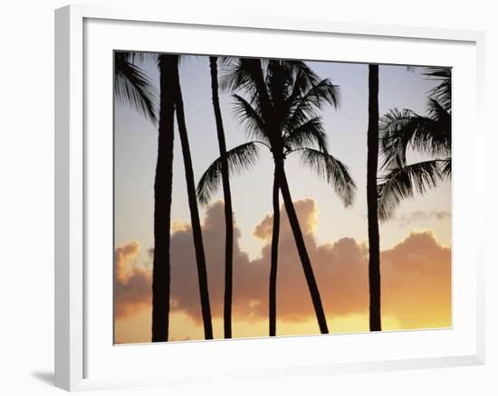 Salt Water Pond State Park, Kauai, Hawaii, USA, Pacific-McCoy Aaron-Framed Photographic Print