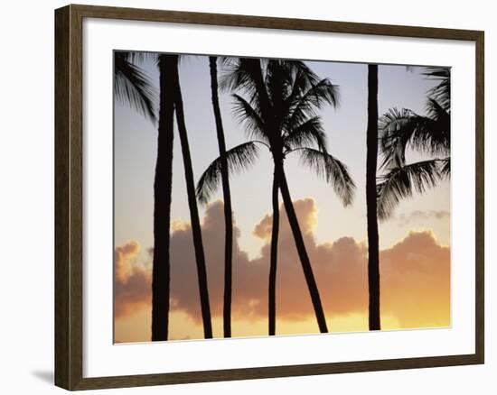 Salt Water Pond State Park, Kauai, Hawaii, USA, Pacific-McCoy Aaron-Framed Photographic Print