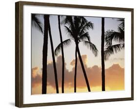 Salt Water Pond State Park, Kauai, Hawaii, USA, Pacific-McCoy Aaron-Framed Photographic Print