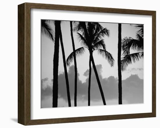 Salt Water Pond State Park, Kauai, Hawaii, USA, Pacific-McCoy Aaron-Framed Photographic Print