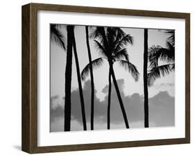 Salt Water Pond State Park, Kauai, Hawaii, USA, Pacific-McCoy Aaron-Framed Photographic Print