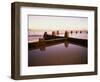 Salt Water Pool on the Beach, Coogee Beach, Sydney, Australia-null-Framed Photographic Print