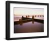 Salt Water Pool on the Beach, Coogee Beach, Sydney, Australia-null-Framed Photographic Print