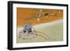 Salt Water Wagon-null-Framed Giclee Print