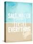Salt Water-null-Stretched Canvas
