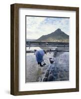 Salt Workers, Mauritius, Indian Ocean, Africa-Alain Evrard-Framed Photographic Print