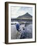 Salt Workers, Mauritius, Indian Ocean, Africa-Alain Evrard-Framed Photographic Print