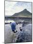 Salt Workers, Mauritius, Indian Ocean, Africa-Alain Evrard-Mounted Photographic Print