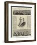 Saltaire and its Founder-null-Framed Giclee Print