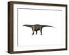 Saltasaurus Dinosaur-null-Framed Art Print