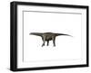 Saltasaurus Dinosaur-null-Framed Art Print