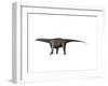 Saltasaurus Dinosaur-null-Framed Art Print