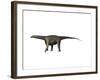 Saltasaurus Dinosaur-null-Framed Art Print