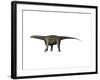 Saltasaurus Dinosaur-null-Framed Art Print