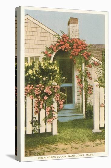 Saltbox House with Flowers, Nantucket, Massachusetts-null-Stretched Canvas