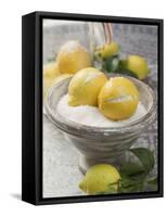 Salted Lemons-null-Framed Stretched Canvas