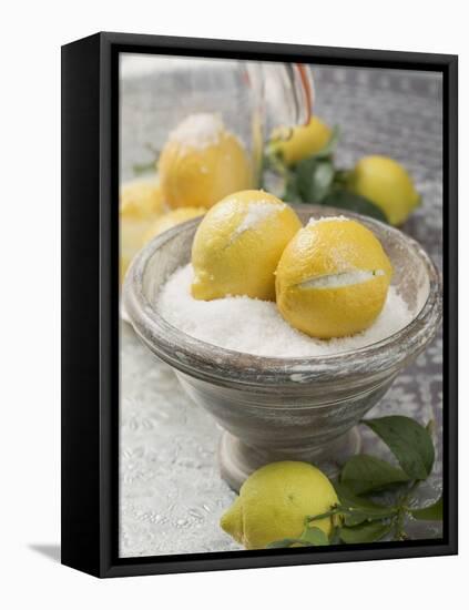 Salted Lemons-null-Framed Stretched Canvas