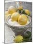 Salted Lemons-null-Mounted Photographic Print