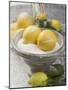 Salted Lemons-null-Mounted Photographic Print