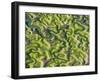 Saltmarsh at Low Tide Near Cadiz, Spain, February 2008-Niall Benvie-Framed Photographic Print