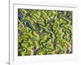 Saltmarsh at Low Tide Near Cadiz, Spain, February 2008-Niall Benvie-Framed Photographic Print