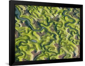 Saltmarsh at Low Tide Near Cadiz, Spain, February 2008-Niall Benvie-Framed Photographic Print