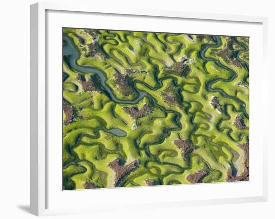 Saltmarsh at Low Tide Near Cadiz, Spain, February 2008-Niall Benvie-Framed Photographic Print