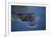 Saltwater Crocodile at Water's Surface-W. Perry Conway-Framed Photographic Print