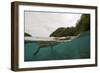 Saltwater Crocodile Swimming with its Head Just above the Surface (Crocodylus Porosus)-Reinhard Dirscherl-Framed Photographic Print