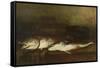 Saltwater Fish (Oil on Panel)-Antoine Vollon-Framed Stretched Canvas