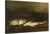 Saltwater Fish (Oil on Panel)-Antoine Vollon-Stretched Canvas