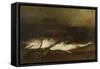 Saltwater Fish (Oil on Panel)-Antoine Vollon-Framed Stretched Canvas