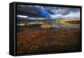 Saltwater Marsh Landscape, Cabo Rojo, Puerto Rico-George Oze-Framed Stretched Canvas
