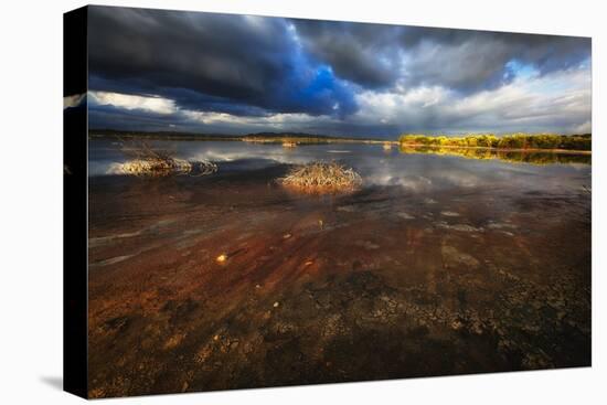 Saltwater Marsh Landscape, Cabo Rojo, Puerto Rico-George Oze-Stretched Canvas