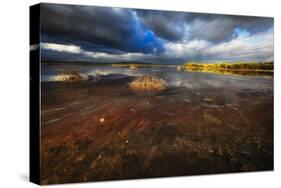 Saltwater Marsh Landscape, Cabo Rojo, Puerto Rico-George Oze-Stretched Canvas