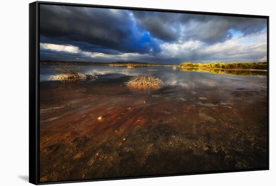 Saltwater Marsh Landscape, Cabo Rojo, Puerto Rico-George Oze-Framed Stretched Canvas