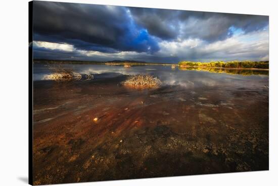 Saltwater Marsh Landscape, Cabo Rojo, Puerto Rico-George Oze-Stretched Canvas