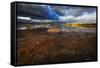 Saltwater Marsh Landscape, Cabo Rojo, Puerto Rico-George Oze-Framed Stretched Canvas