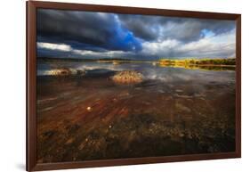 Saltwater Marsh Landscape, Cabo Rojo, Puerto Rico-George Oze-Framed Photographic Print